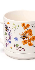 Robert Dyas - Puckator Nectar Meadows Porcelain Mug & Coaster Lid Set - £11.09 Robert Dyas - Puckator Nectar Meadows Porcelain Mug & Coaster Lid Set - £11.09
